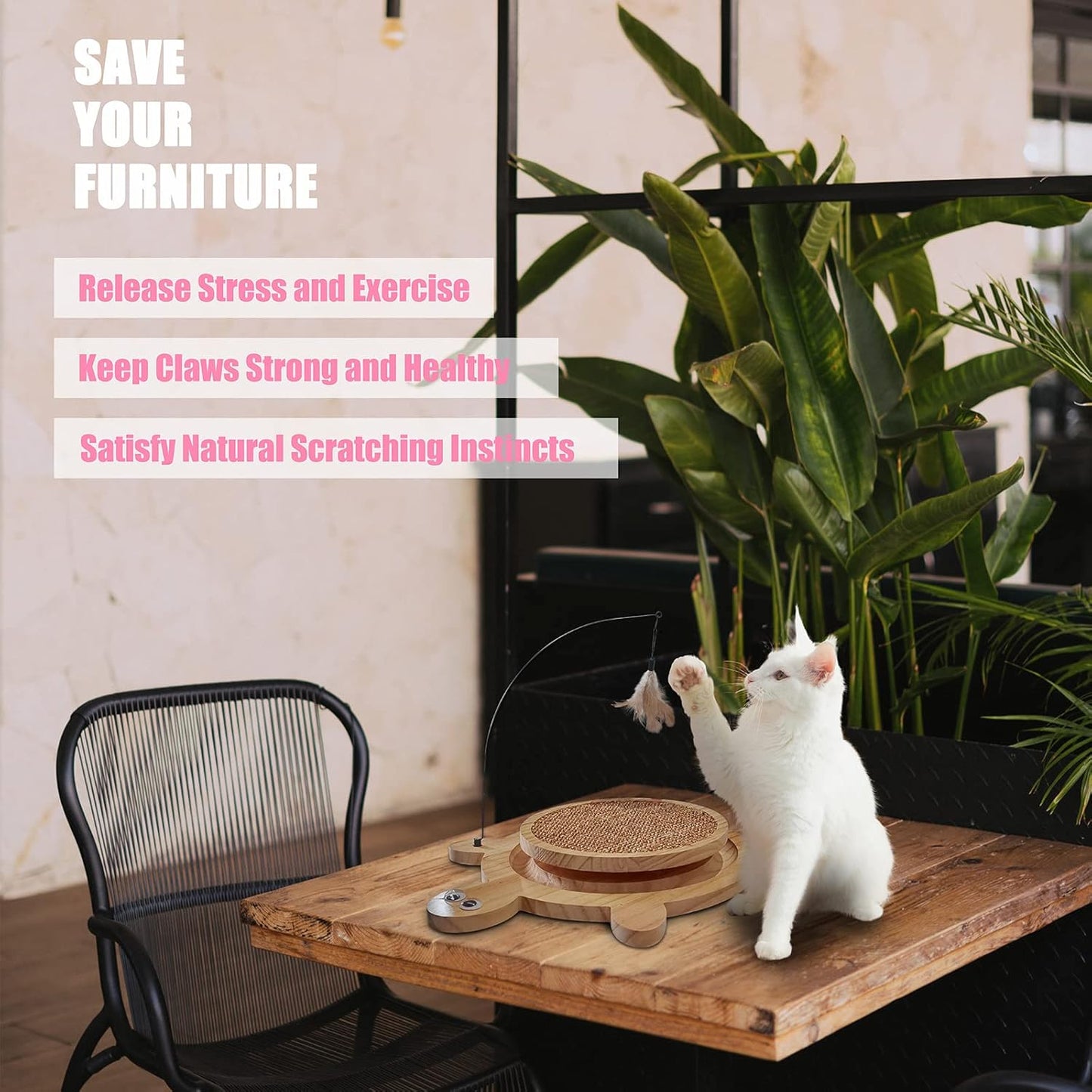 Petest Interactive Cat Toy Cat Scratch Toy Natural Sisal Scratcher with Catnip Balls, Cat Scratch Pad, Turtle Design