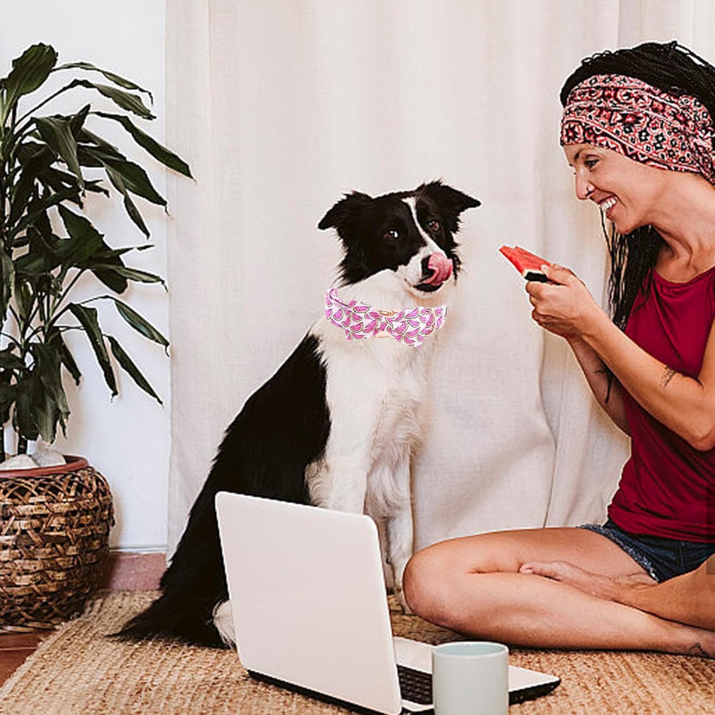 Elegant little tail Dog Collar, Watermelon Print Pet Collar Summer Dog Collar Durable Metal Buckle Dog Collars Cotton Pet Adjustable Dog Collars for X-Small Dogs