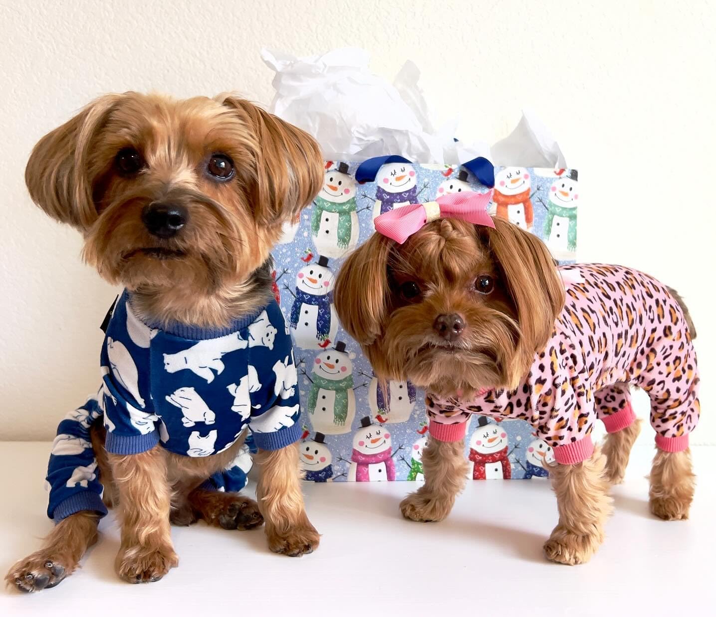 Fitwarm Leopard Dog Pajamas, Fleece Dog Clothes for Small Dogs Girl with Legs, Pet Onesie, Cat Outfit, Pink, XL