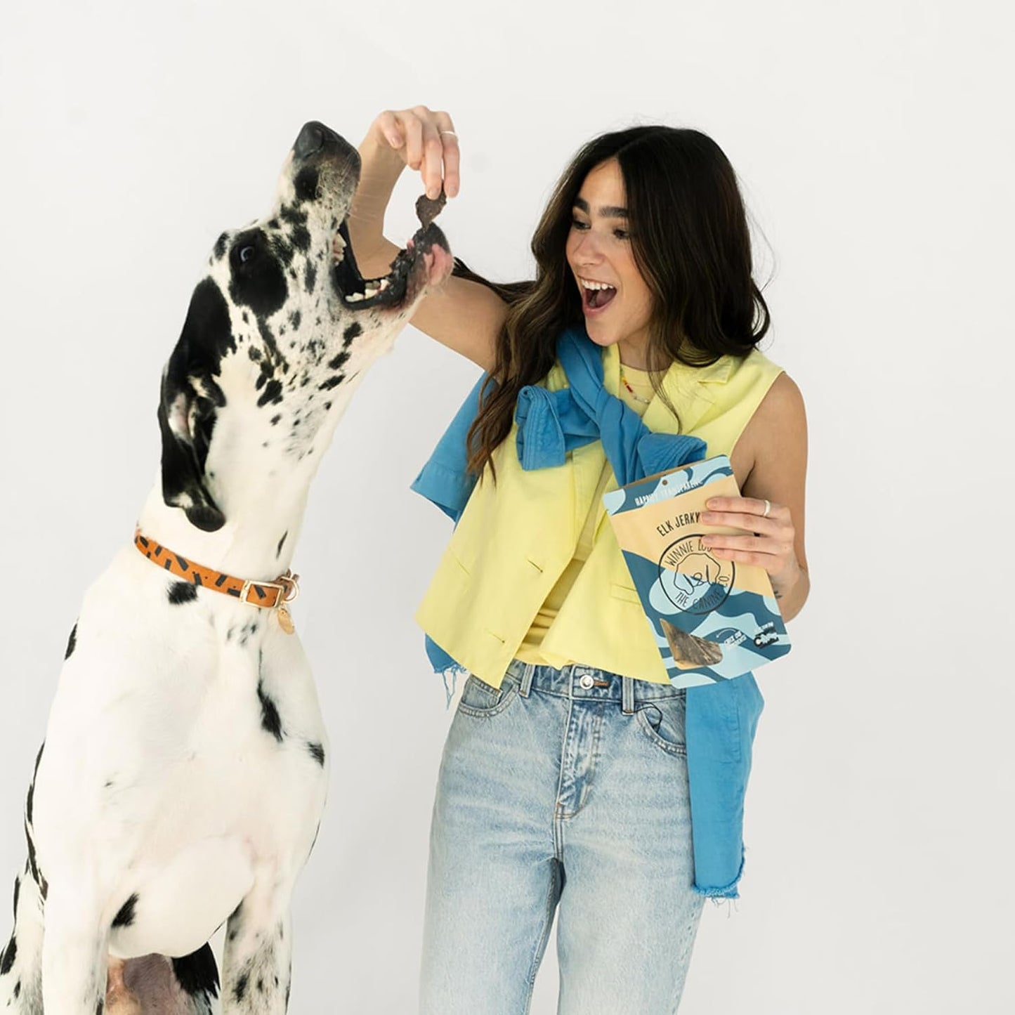 Winnie Lou Elk Jerky Dog Treats – Limited Ingredient, Human Grade, Training Treats for Small, Medium & Large Dogs, Made in USA (1 Pack)