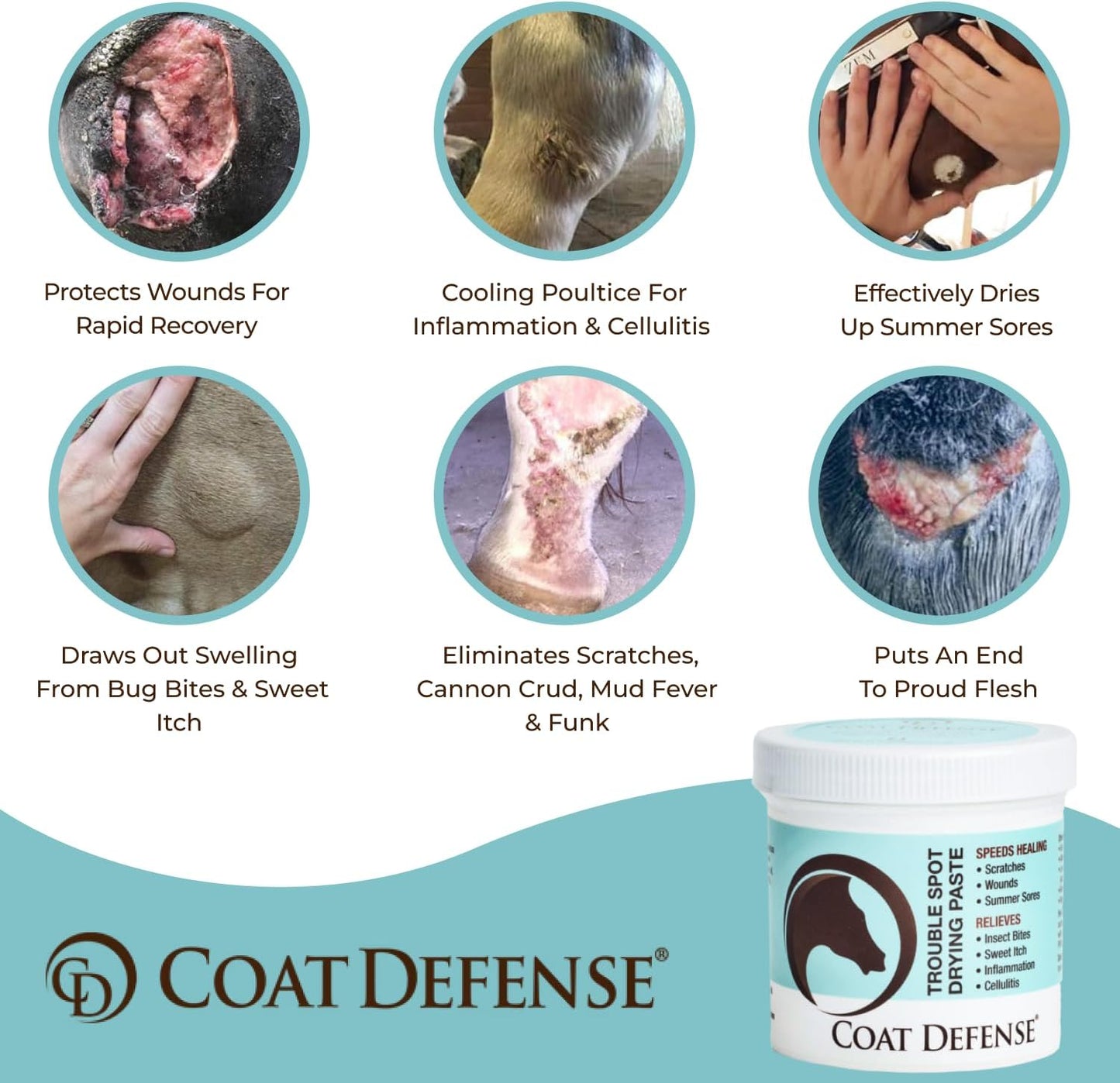 COAT DEFENSE Trouble Spot Drying Paste for Horses - Natural Equine Wound Care That Provides Safe & Effective Relief from Scratches, Sweet Itch, Summer Sores, Proud Flesh, Mud Fever, Girth Rot (24 Oz)