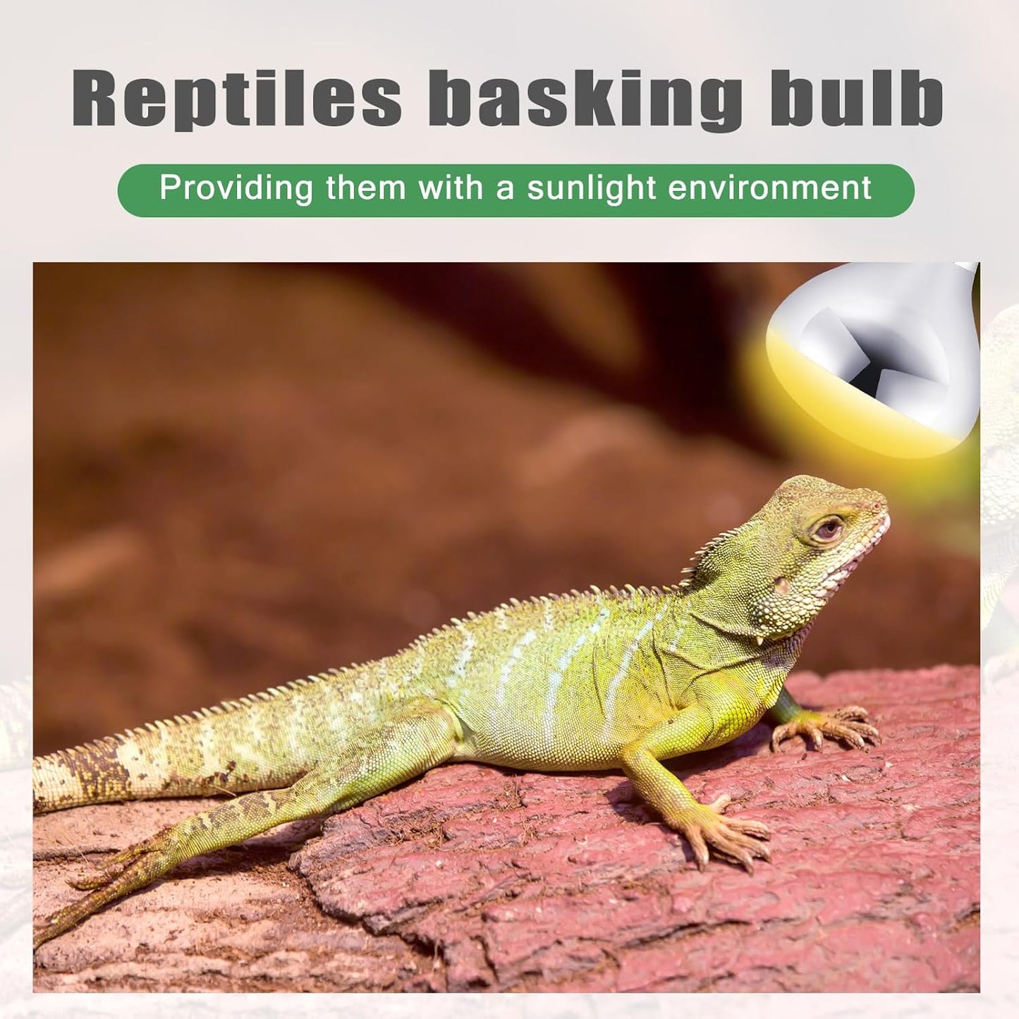 VIHOSE 20 Pack 250 Watt Heat Lamp 120v R40 Heat Lamp Bulbs Glass Incandescent Light Bulbs Incandescent Heating Lightbulbs for Reptiles Chicks Food Puppies Bathroom, Use E26 Base (Silver)