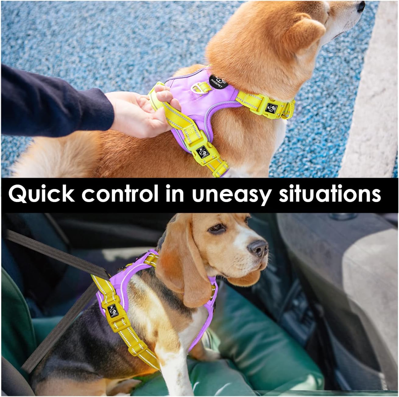 PHOEPET No Pull Dog Harness, Unique Colors Reflective Adjustable Dog Vest, with Soft Training Handle Metal Clips for Small Medium Large Dogs (Baby Purple Base & Yellow Straps,S)