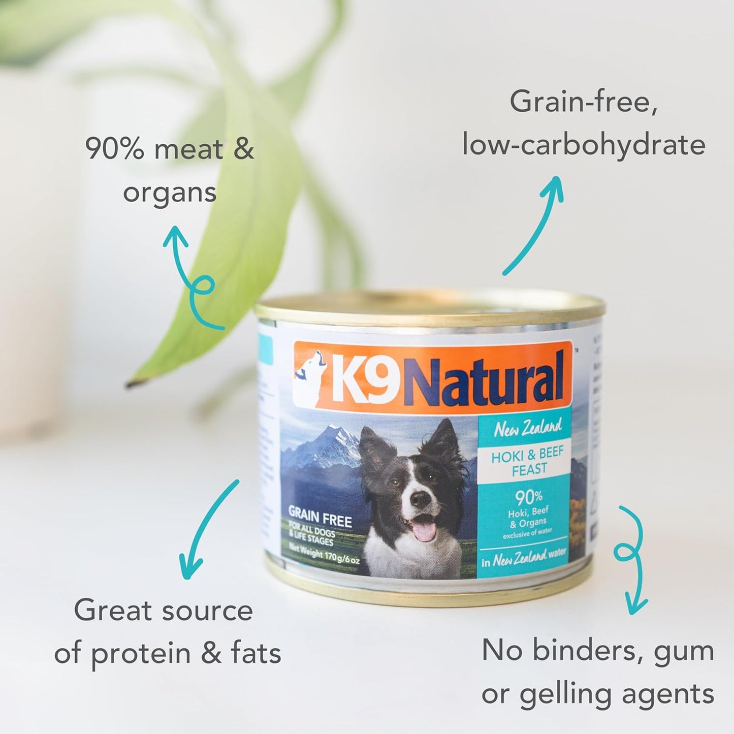 K9 Natural Wet Dog Food Pate, Hoki & Beef Feast, 6 Oz Cans (Pack of 12), Grain Free, Made in New Zealand with Sustainably Caught Hoki Fish and Grass-Fed and Finished Beef