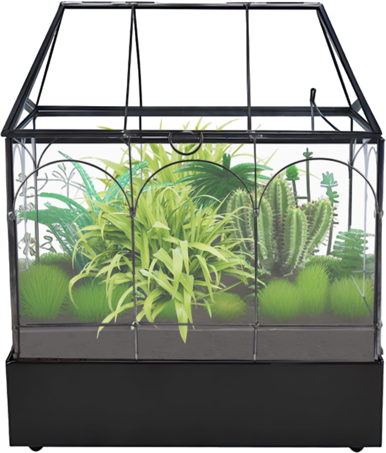 HighFree Glass Terrarium with Metal Tray, Glass Greenhouse Terrarium Kit for Succulents, Cacti, Snails, Spiders, and Miniature Reptiles, Black (Large-9.45" L x 5.7" W x 11.8" H)