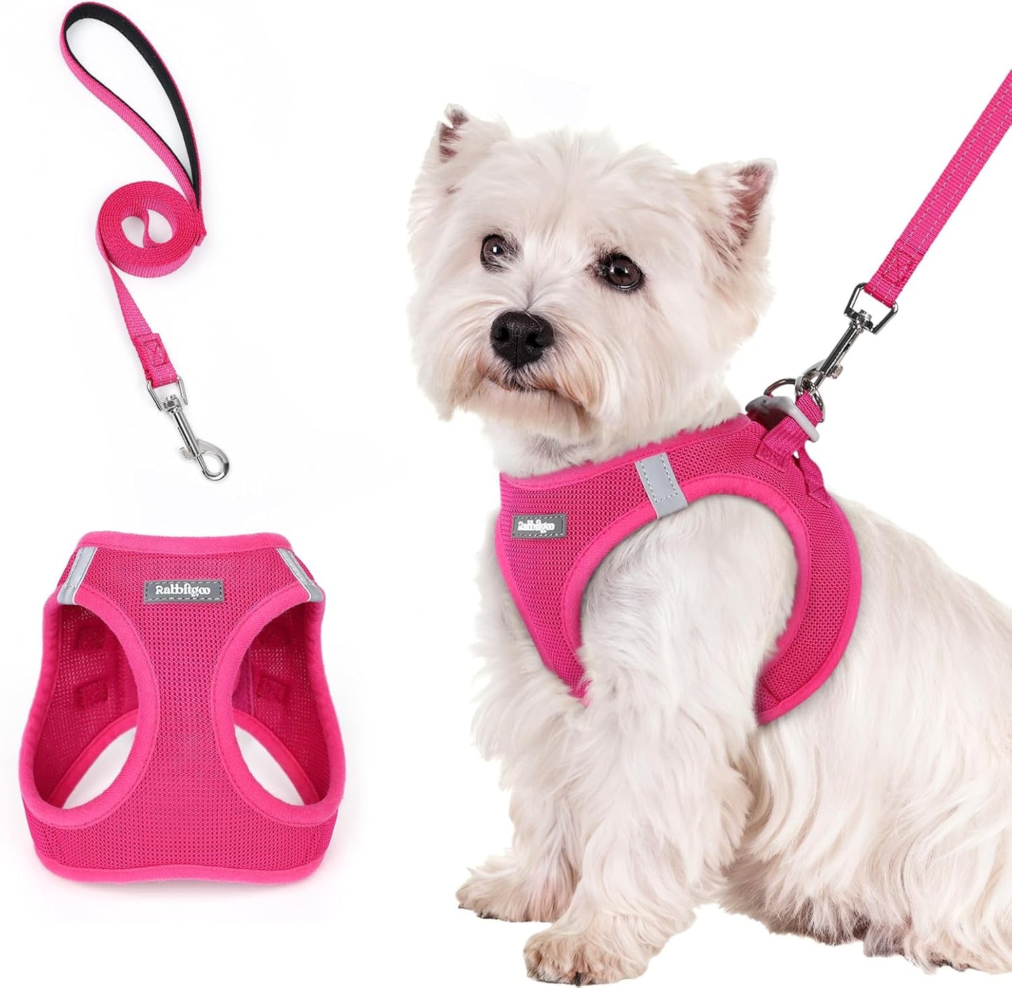 rabbitgoo Dog Harness Small Sized and Leash Set, Step in Soft Light Puppy Vest, Breathable Mesh Pet Harness, Reflective for Safe Easy Walking, Rose Red S