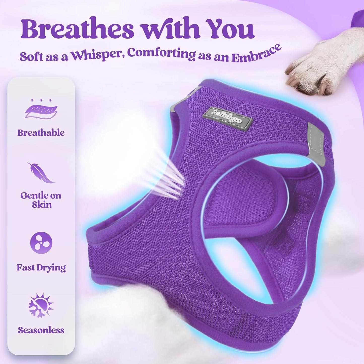 rabbitgoo Dog Harness Small Sized and Leash Set, Step in Soft Light Puppy Vest, Breathable Mesh Pet Harness, Reflective for Outdoor Safe Walking, Purple XXXS