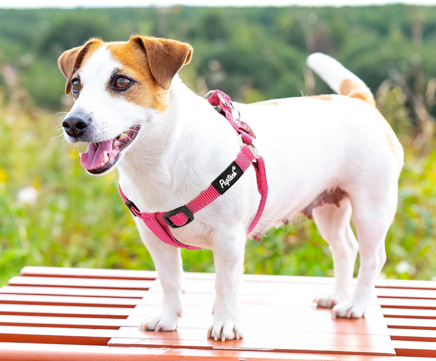 PUPTECK No Pull Dog Harness Soft Adjustable Basic Nylon Step in Puppy Vest Outdoor Walking with ID Tag, Reflecive Pink, S