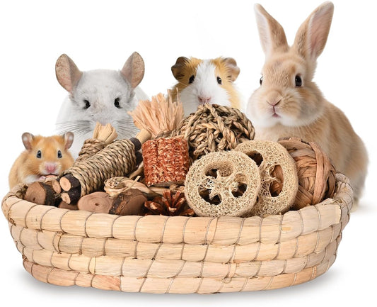 31PCS Rabbit Chew Treat Toys for Teeth Health, Natural Bunny Enrichment Toys for Boredom & Stress Relief, Keep Busy Toys for Guinea Pig Chinchilla Hamster Rat Gerbil Degu Indoor Outdoor