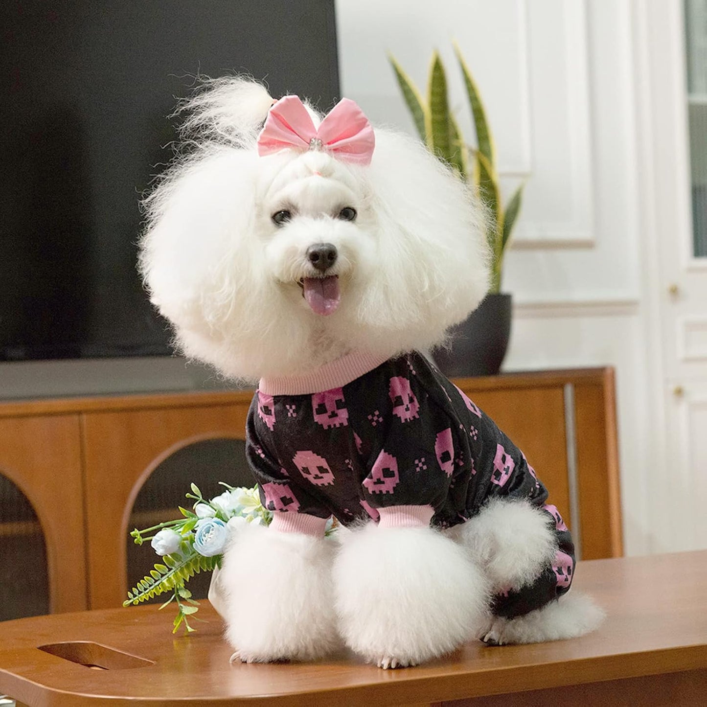 CuteBone Dog Halloween Pajamas Puppy Onesies Small Dogs Soft Pjs Coat Cat Apparel Comfy Pet Clothes Outfit Doggie Bodysuit P248XL