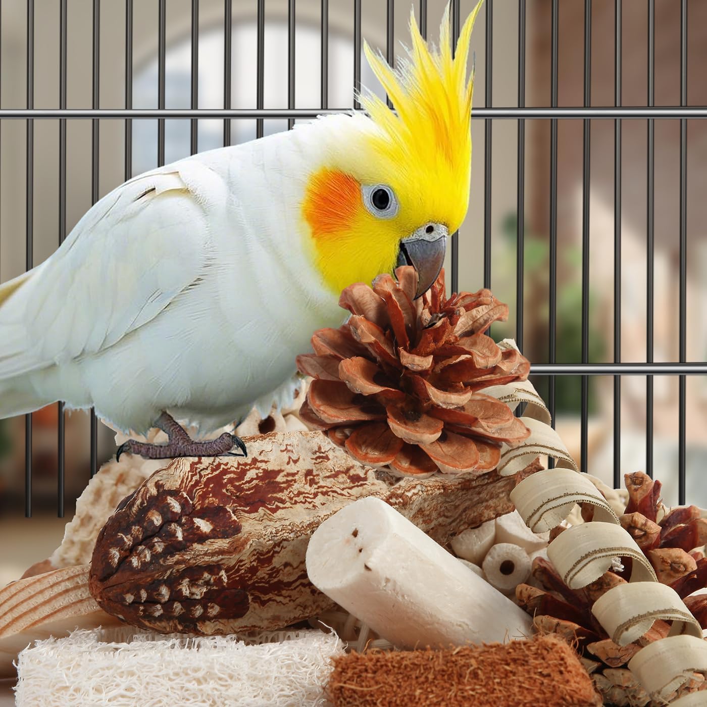 Kyouki Bird Toys Parrot Toys Natural Bird Foraging Box Foot for Parakeets,Cockatiels,Conures,Love Birds,and Other Small to Medium Birds (Medium)