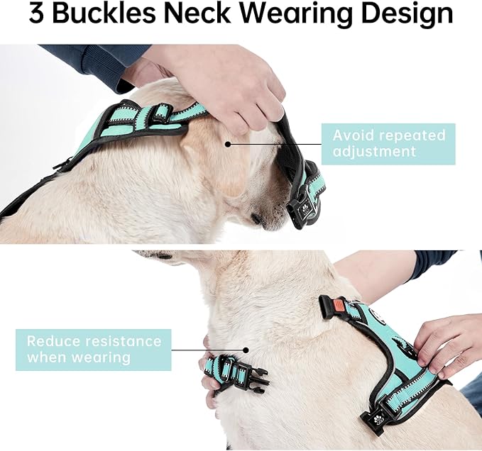 IVY&LANE No Pull Dog Harness with Leash Set, Reflective No Choke Pet Vest,Adjustable Oxford Dog Vest Harness with Easy Control Handle for Small Dogs (Turquoise,S)