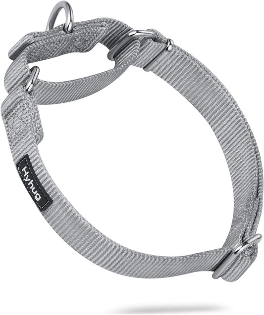 Hyhug Pets Premium Upgraded Heavy Duty Nylon Anti-Escape Martingale Collar for Pup Boy and Girl Dogs Comfy and Safe - Professional Training, Daily Use Walking. (Small, Sleet Gray)