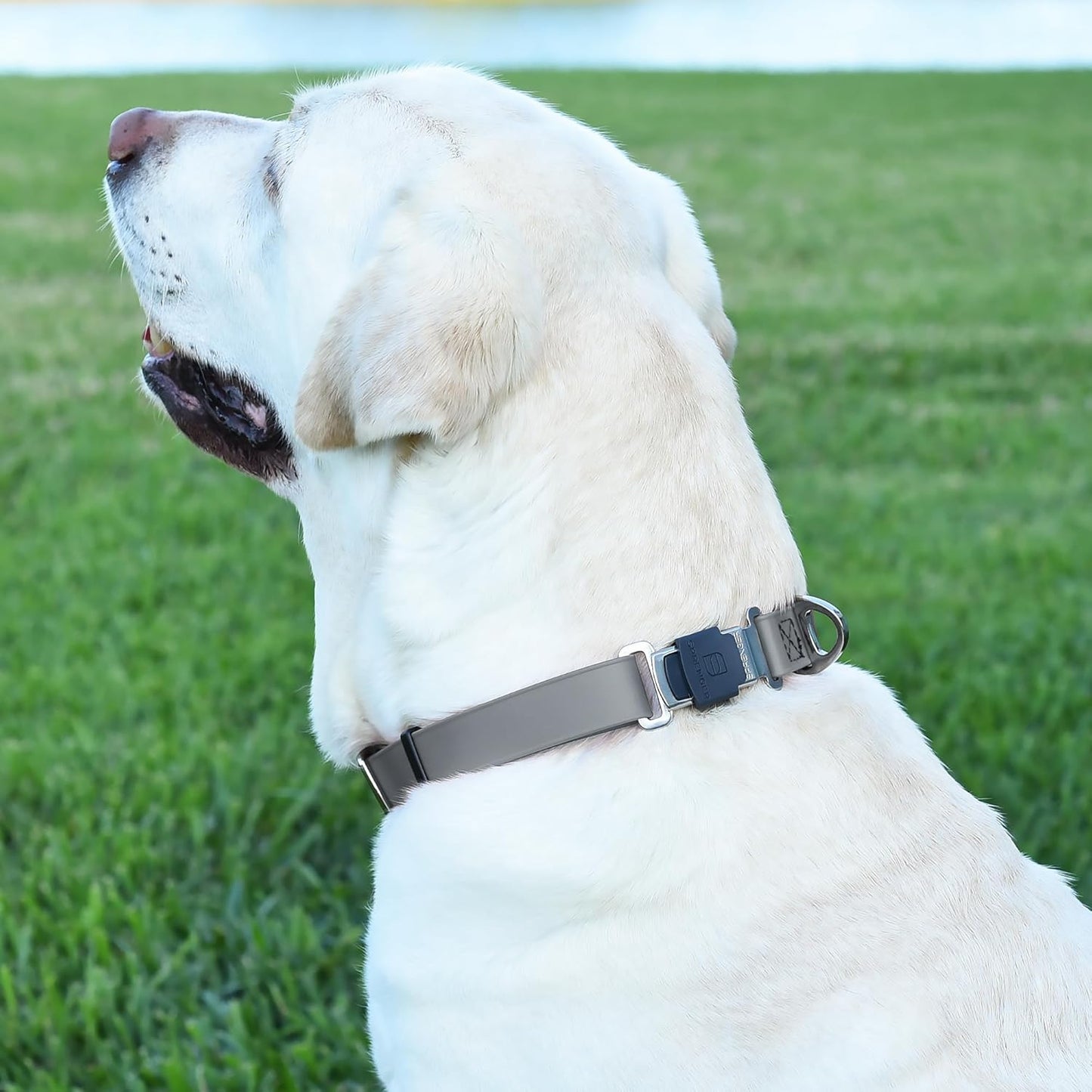 Dogline Biothane Waterproof Dog Collar with Herm Sprenger Black Stainless Steel Quick Release Buckle – Heavy Duty Tactical Durable Collar for Dogs – Comfortable and Safe Pet Collar W 1" L 15-25" Gray