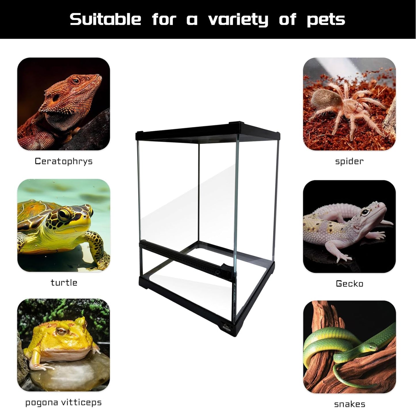 Reptile Glass Terrarium Tank 10 * 10 * 14in, Full View with Front Opening Door,Amphibians Enclosure Habitat Cage for Leopard Gecko Tarantula Young Lizard Hermit Crab Frog Insects Breeding