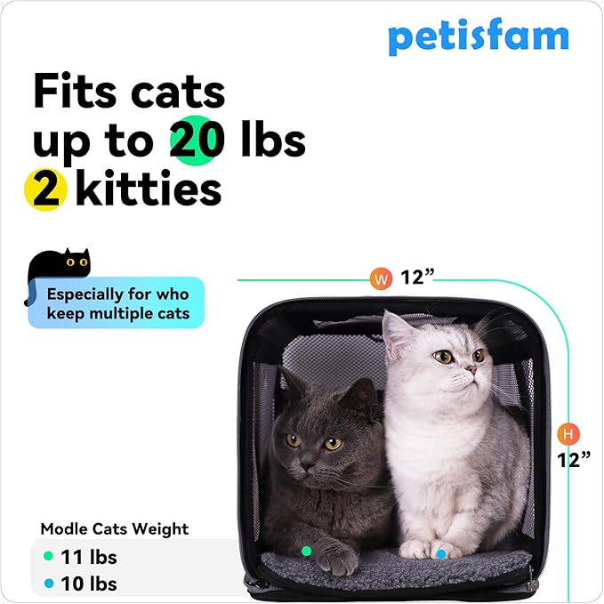 petisfam Soft Pet Carrier for Large and Medium Cats, 2 Kitties, Small Dogs. Easy to Get Cat in, Great for Cats That Don't Like Carriers (Blue)