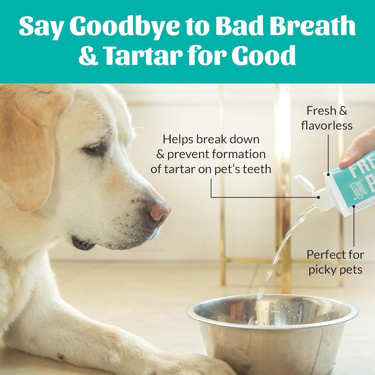 SKOUT'S HONOR Fresher Breath Flavorless Water Additive - VOHC Accepted for Tartar Control, Freshens Breath Fast, No Brushing Required, 32 oz