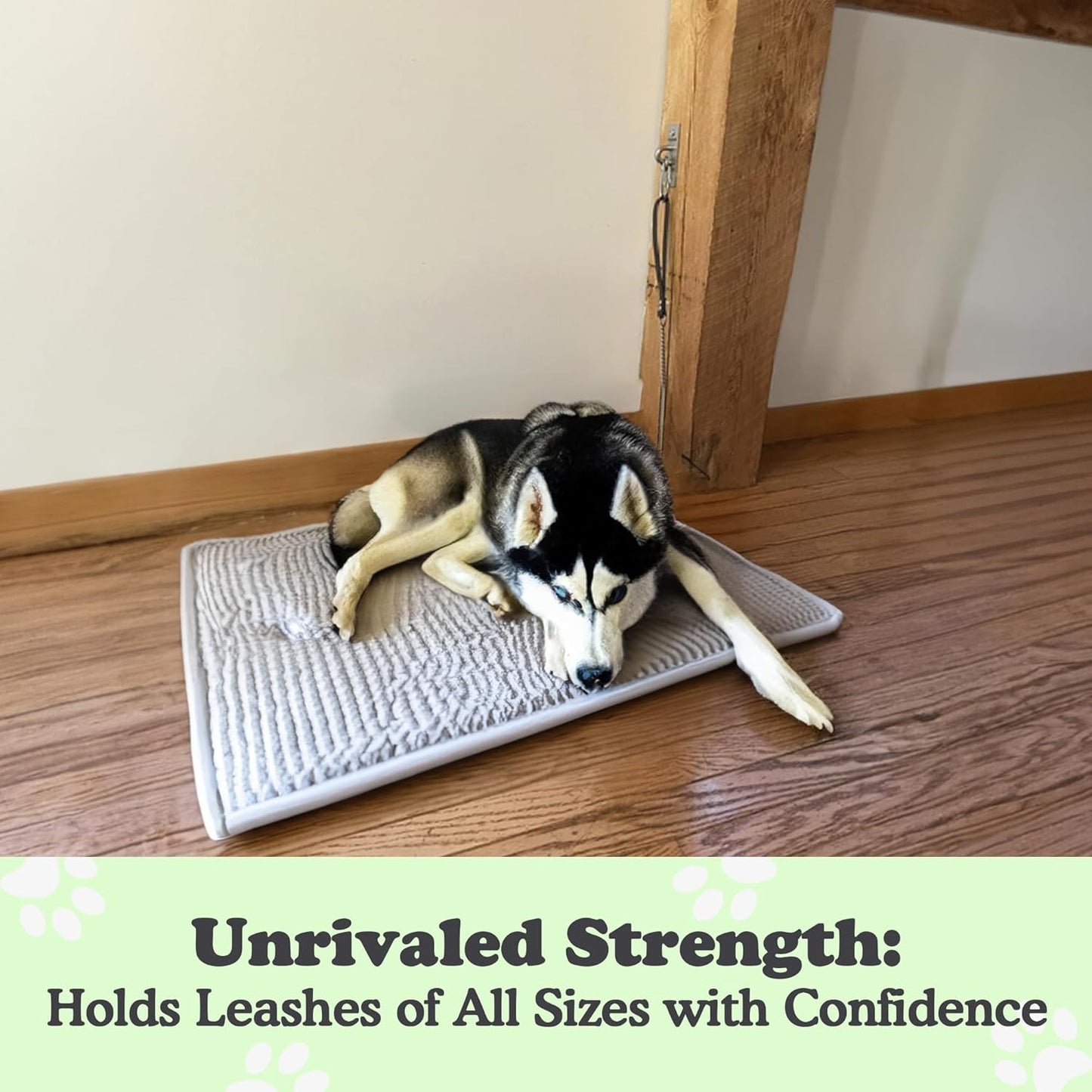 Canine Hitch- Secure Dog Leash Parking Wall Slim Hook with Clip 6 Pack - Tie Out Stainless Steel & ABS Mounting Plate for Strength - Practical Lead Management for Home & Business