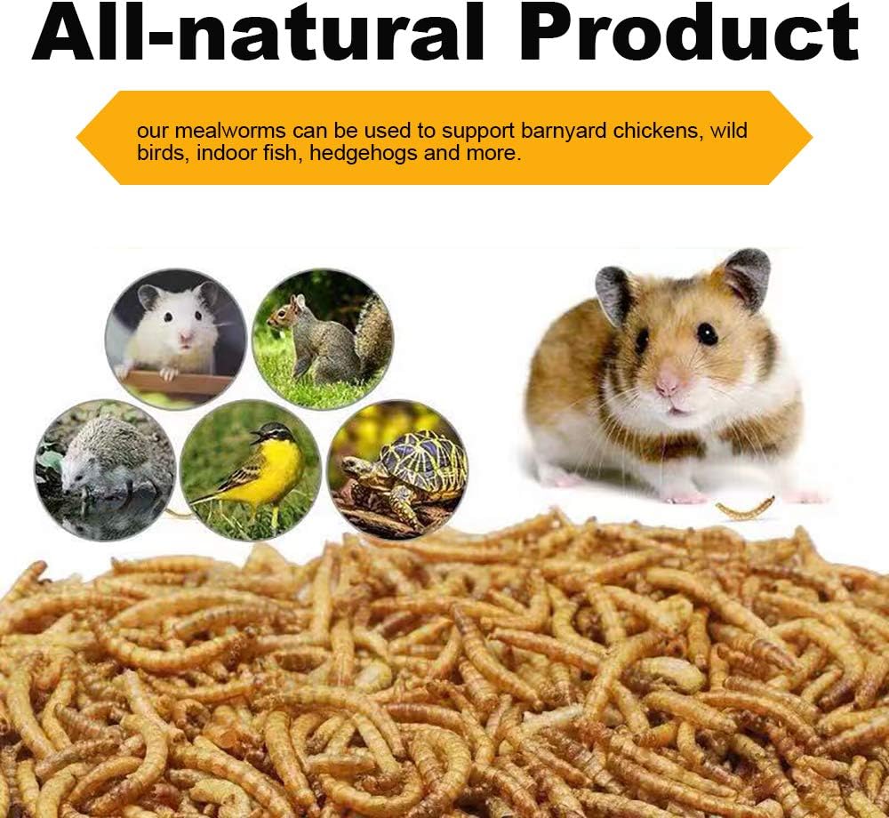 Bulk Mealworms 11Lbs, High-Protein Dried Mealworms, 100% Non-GMO Mealworm Treats for Birds, Chickens, Turtles, Fish, Hamsters and Hedgehogs All Natural Animal Feed