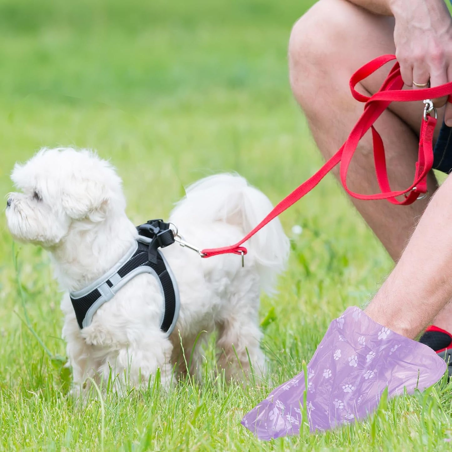 Thenshop 3000 Counts 200 Rolls Dog Poop Bag Plastic Dog Waste Bags Disposable For Doggie Pets Poop Outdoor Walking Travel Mixed Colors(Lovely Style)