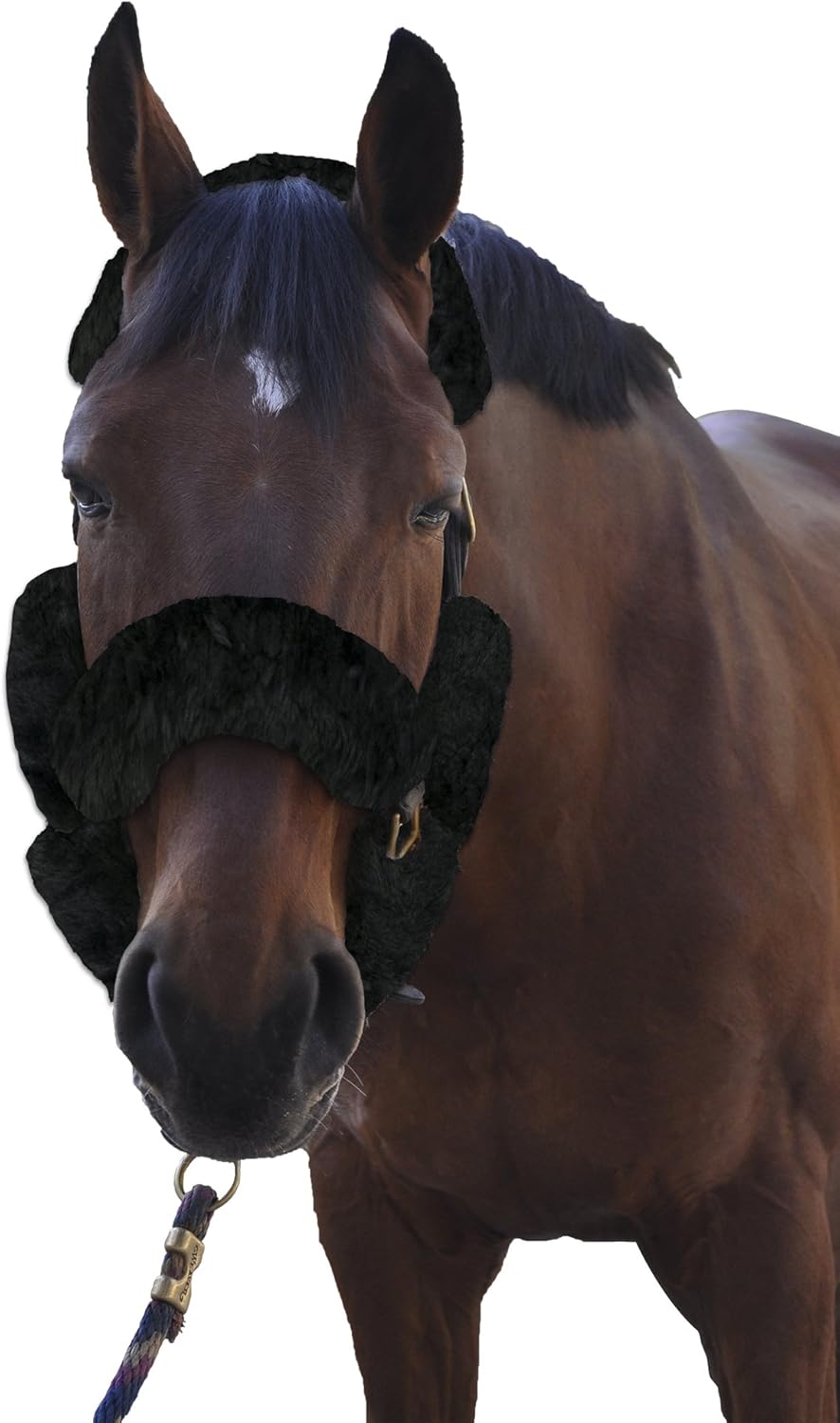 ECP Equine Comfort Products Merino Sheepskin Halter Fleece Set for Horses, 100% Natural Wool, Chafe Protection, Breathable Relief & Cushioned Comfort, Machine Washable, 9-Piece Set, Black