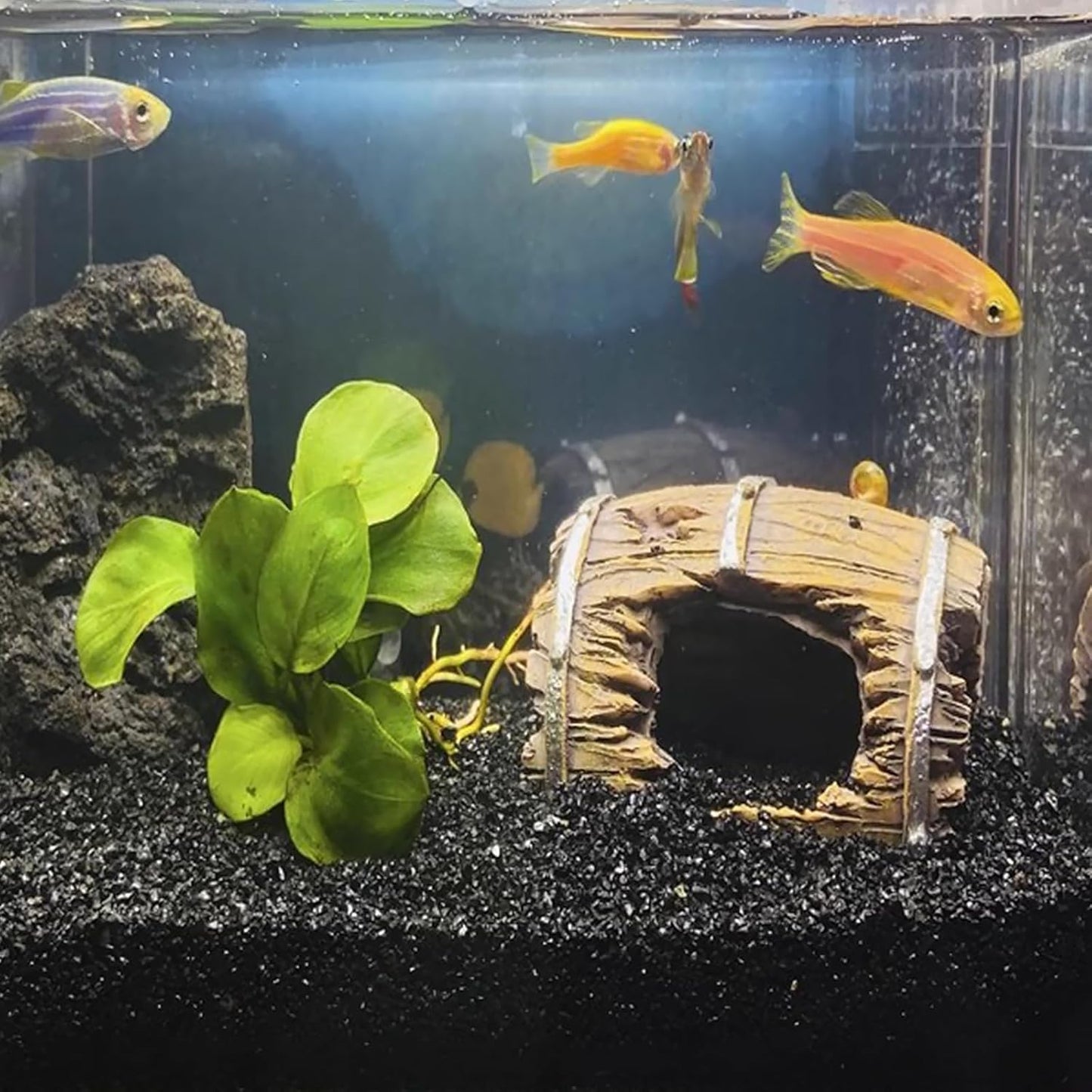 20 lbs Black Silica Sand. Decorative Aquarium Gravel Substrate for Fish Tank, Plants Potted, Fire Pits, Candle, Vase Filler and Crafts