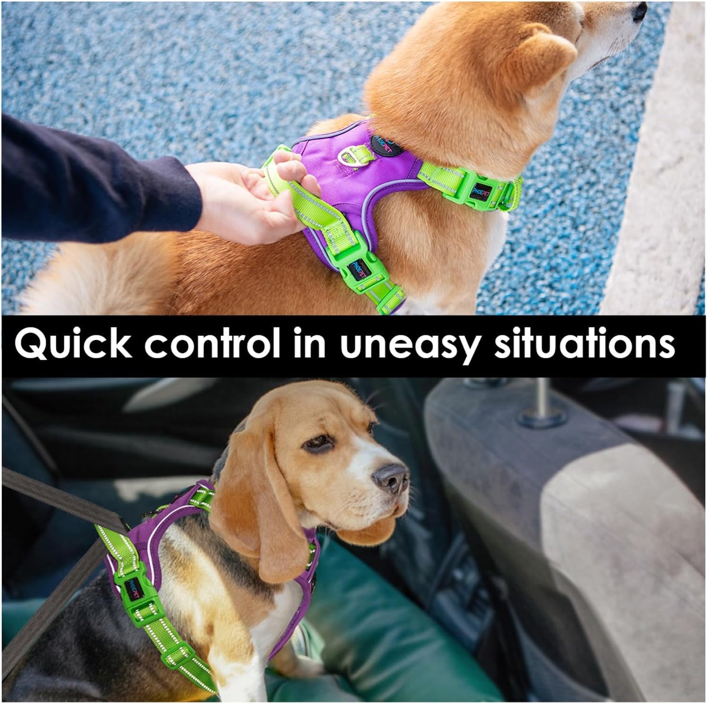PHOEPET No Pull Dog Harness, Unique Colors Reflective Adjustable Dog Vest, with Soft Training Handle Metal Clips for Small Medium Large Dogs (Purple Base & Green Straps,S)