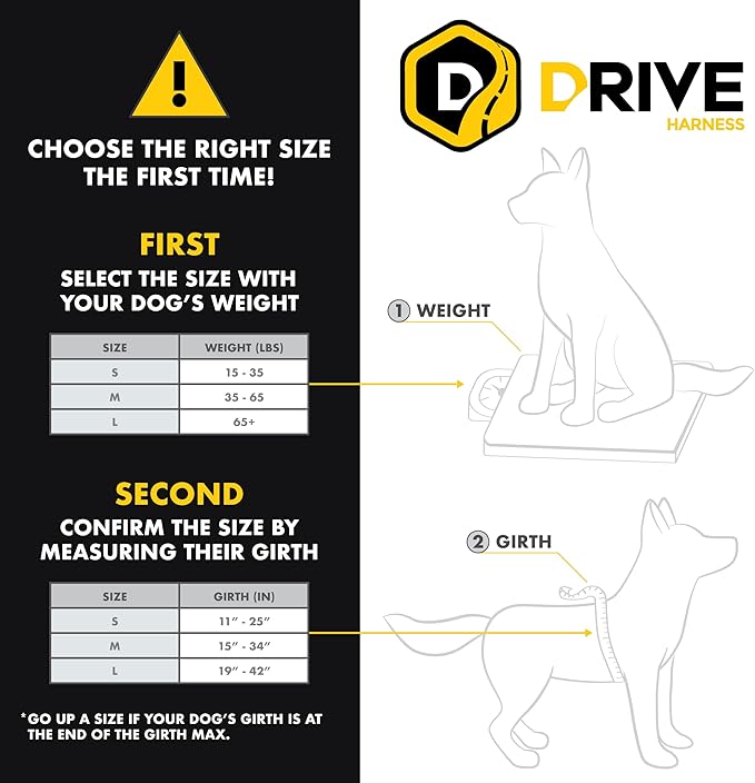 EzyDog Drive Dog Car Harness – Crash Tested and Certified (US-FMVSS 213) Dog Seat Belt Harness for Safe Travel, Adjustable with Padded Comfort (Small)