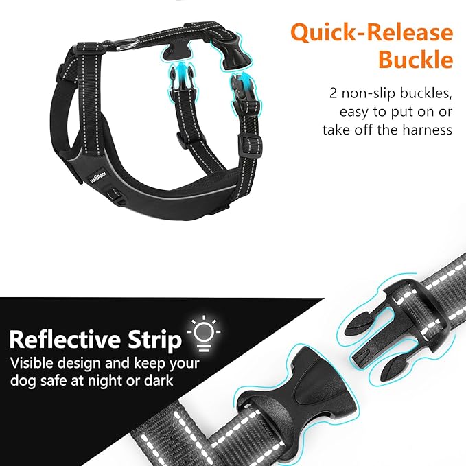 Dog Seat Belt Harness for Car, Dog Car Harness Adjustable Mesh Breathable & Dogs Seatbelt Safety Tether with Elastic Bungee for Small Medium Large Pets(Carbon Black, S)