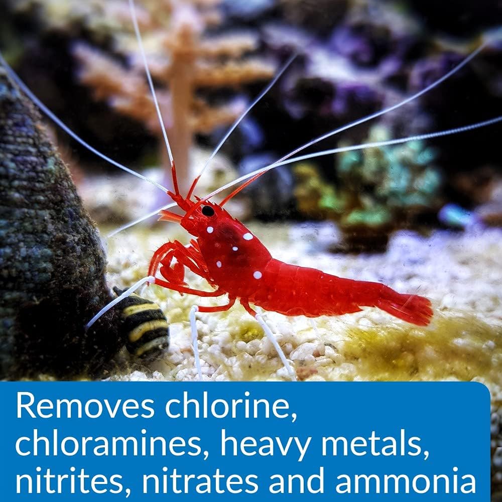 API AQUA ESSENTIAL Water Conditioner 16 ounce bottle