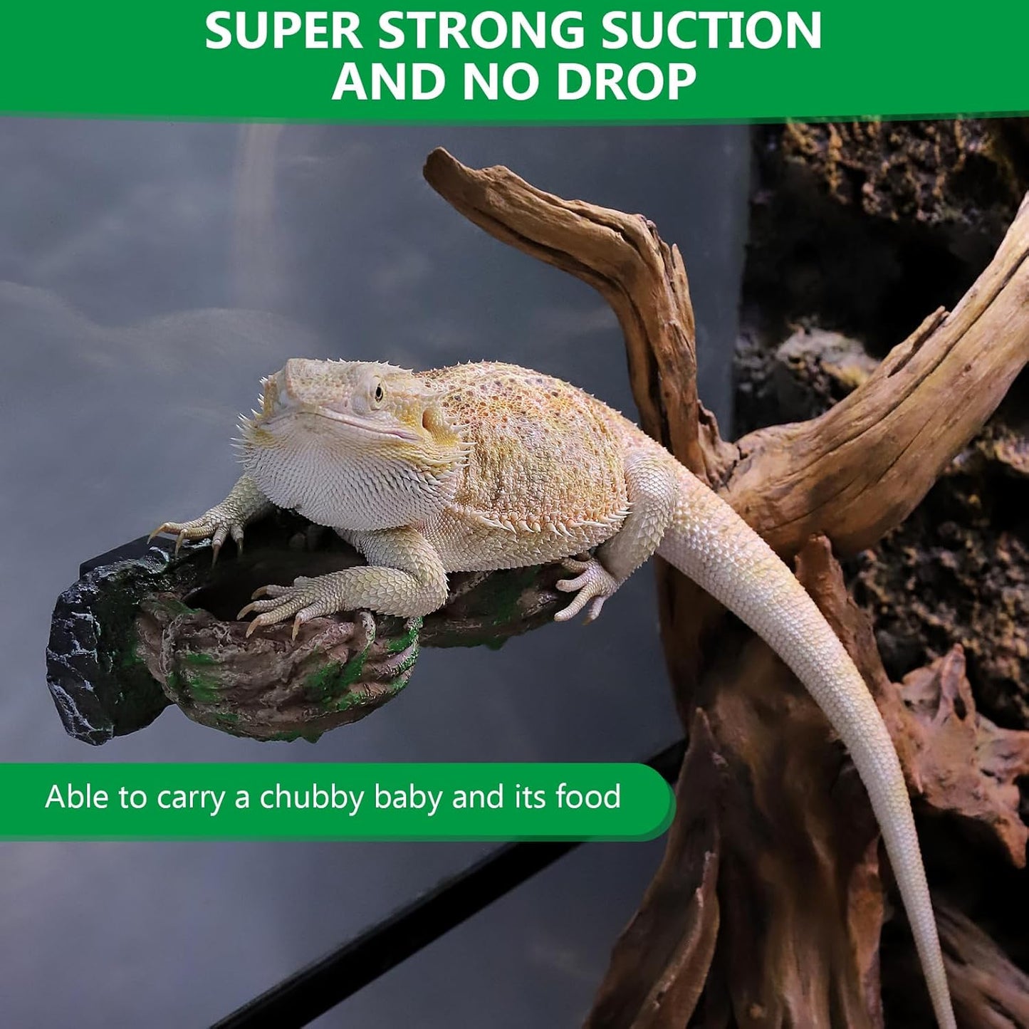 Magnetic Reptile Feeding Ledge, Gecko Feeder Ledge with One Piece Cup, Hollow Vine Food Dish, Reptile Water Bowl for Bearded Dragon Lizard Snake