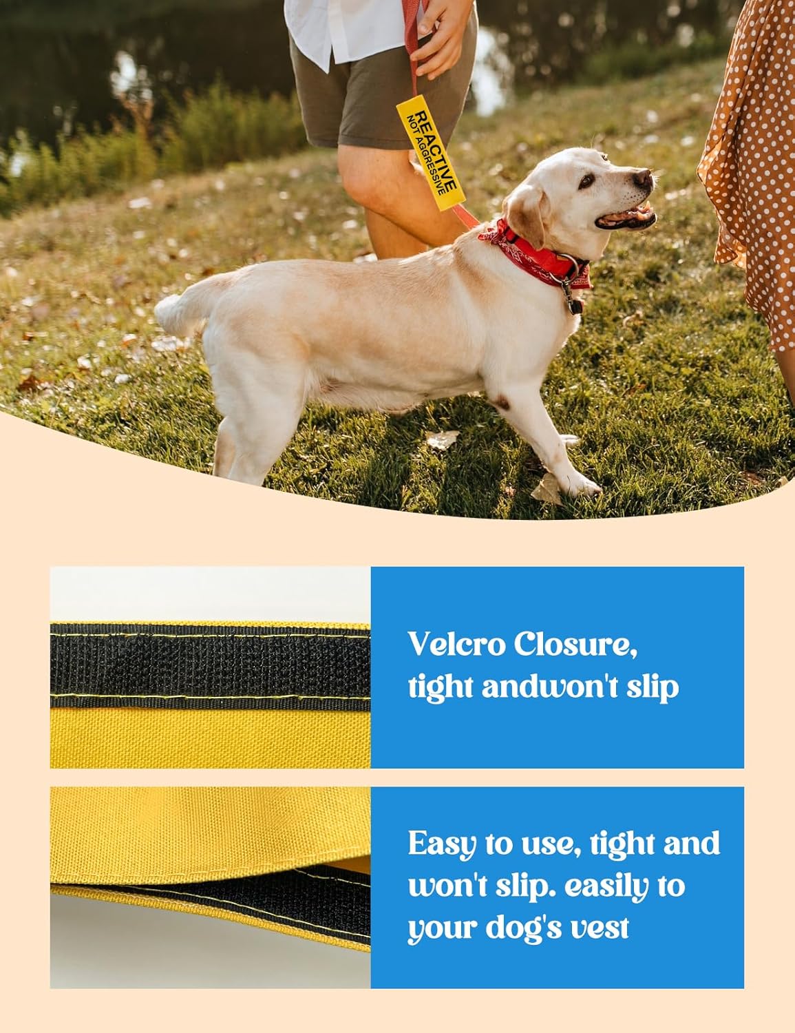 Reactive Dog Leash Sleeve - Funny Yellow Wrap with 'Do Not Pet' Patch - Alert Hanging ID Tag - Perfect for Dog Owners