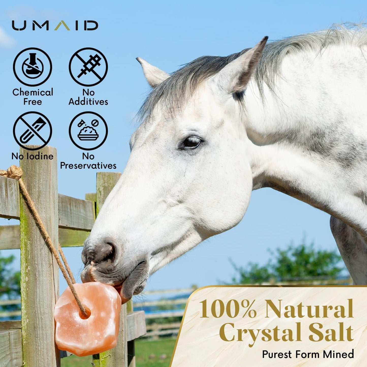 UMAID Himalayan Salt Lick 6 lbs On Rope for Horse, Deer, Goat, and Livestock Animals - Himalayan Salt Block 1 Pack