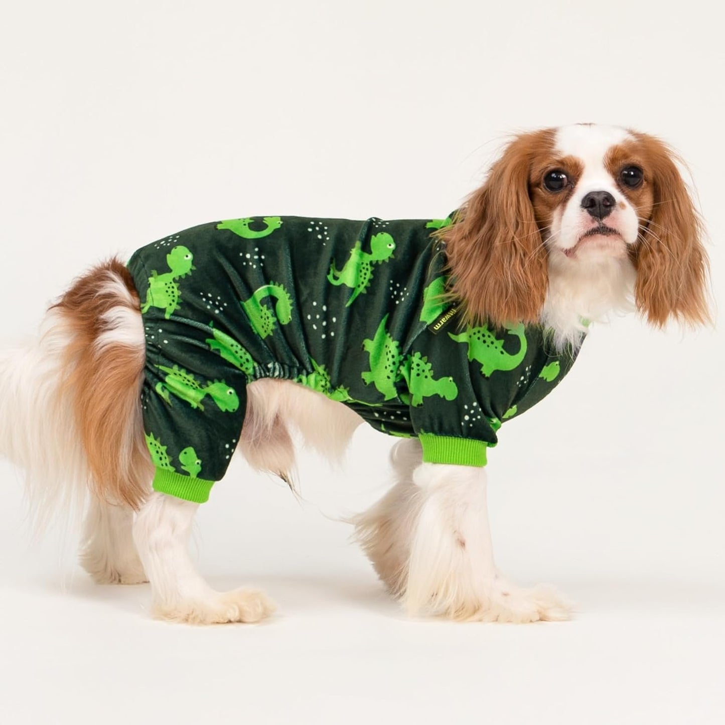 Fitwarm Dinosaur Dog Fleece Pajamas, Warm Clothes for Small Dogs Boy, Cozy Pet Onesie with Feet, Dark Green, Bright Green, XXL