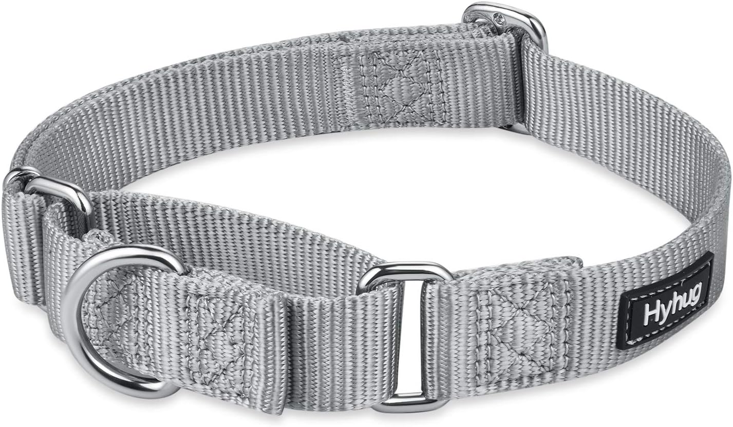 Hyhug Pets Premium Upgraded Heavy Duty Nylon Anti-Escape Martingale Collar for Large Boy and Girl Dogs Comfy and Safe - Professional Training, Daily Use Walking. (Large, Sleet Gray)