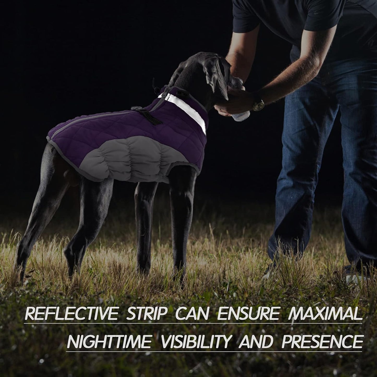 FUAMEY Dog Coat for Large Dogs,Waterproof Dog Winter Jacket with Harness Built in Puppy Cold Weather Coats Reflective Pet Vest with Zipper Warm Fleece Dogs Snowsuit Windproof Purple XXXL