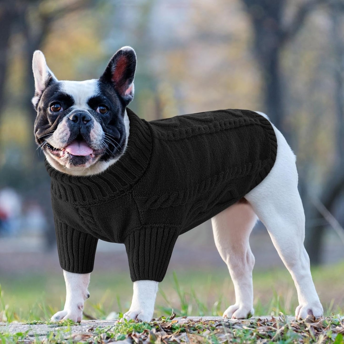 Queenmore Small Dog Pullover Sweater, Cold Weather Cable Knitwear, Classic Turtleneck Thick Warm Clothes for Chihuahua, Bulldog, Dachshund, Pug (Black, X-Large)