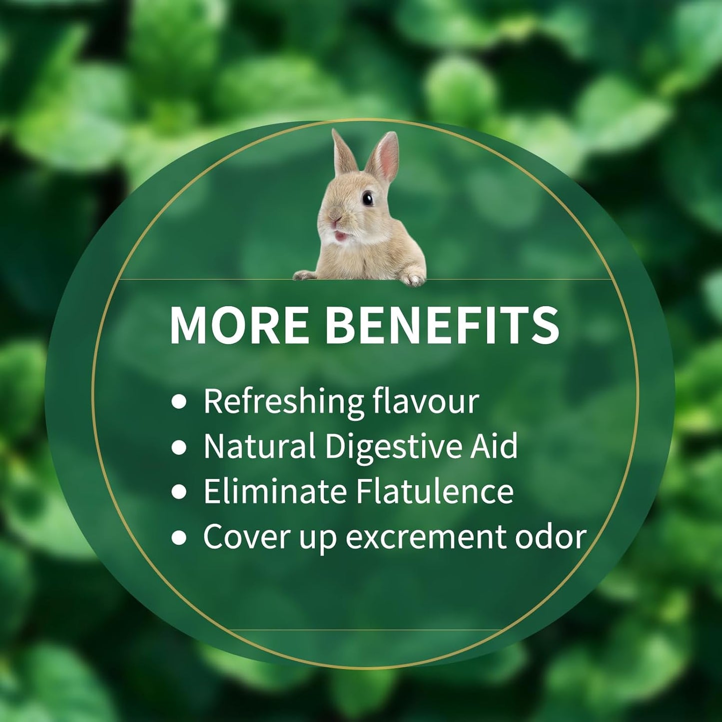 Nature Treats for Small Animals Dried Mint Leave 12 OZ - Dust Free Natural Green Fresh for Pets Rabbits, Rich in nutrients Alleviate Digestive Improve The Oral Health of Pets