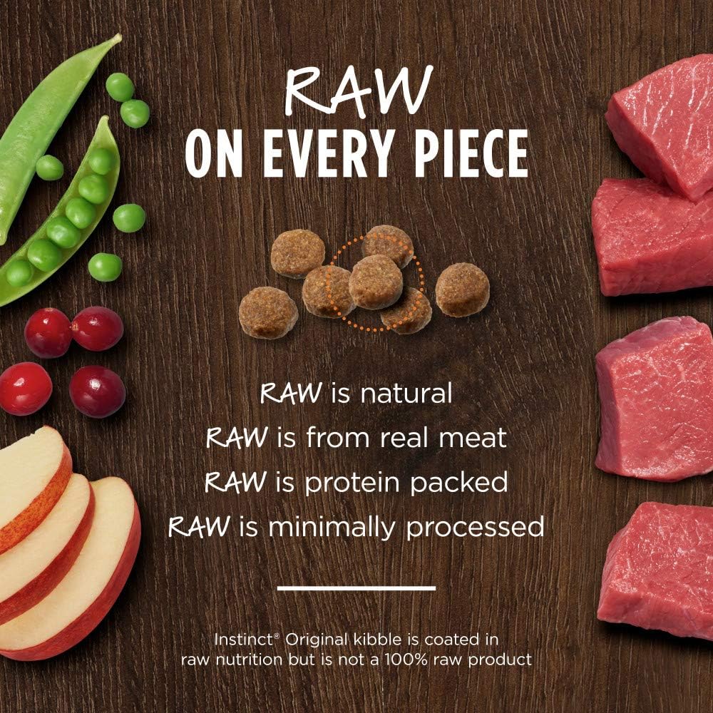 Original Beef Dry Dog Food, 20 lb. Bag