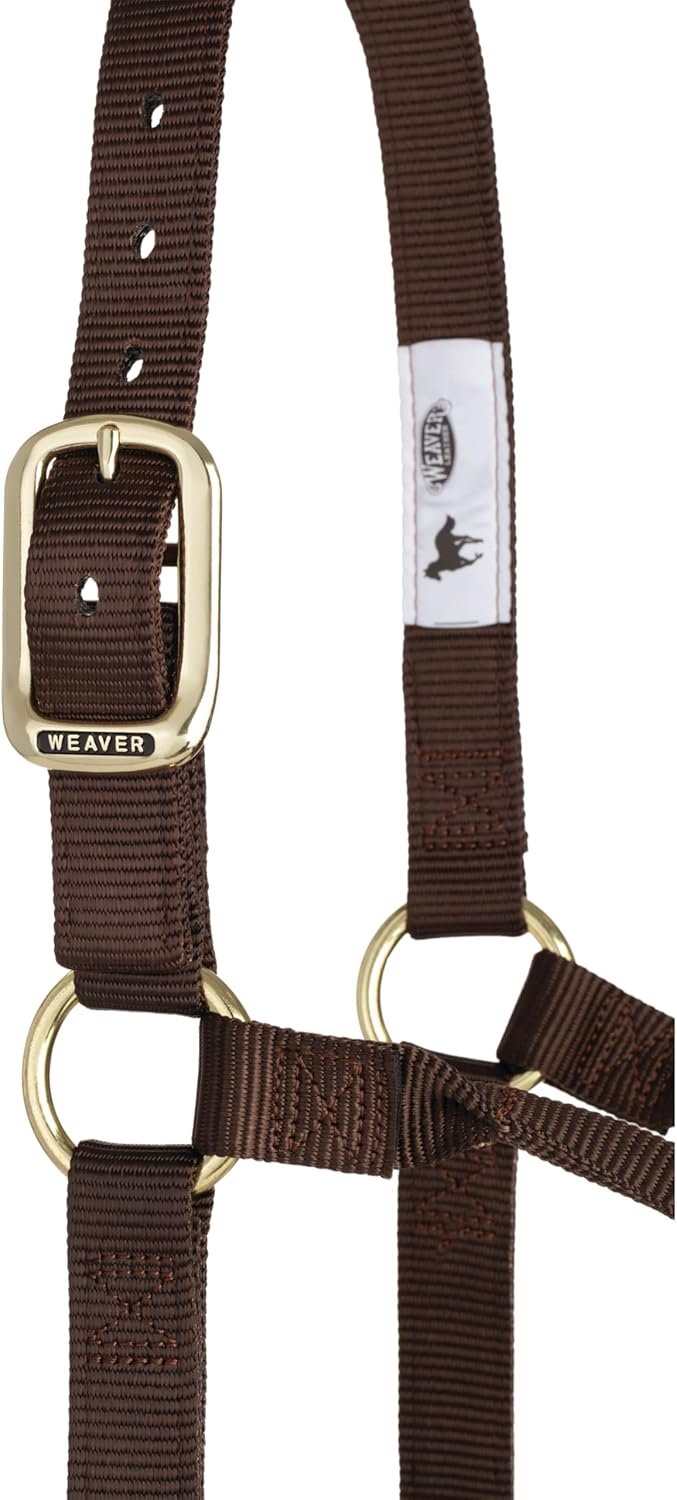 Weaver Equine Nylon Horse Halter, Triple-Ply Cheek Design, Original Non Adjustable Halters for Horses, Equine Tack,Average Size, Black