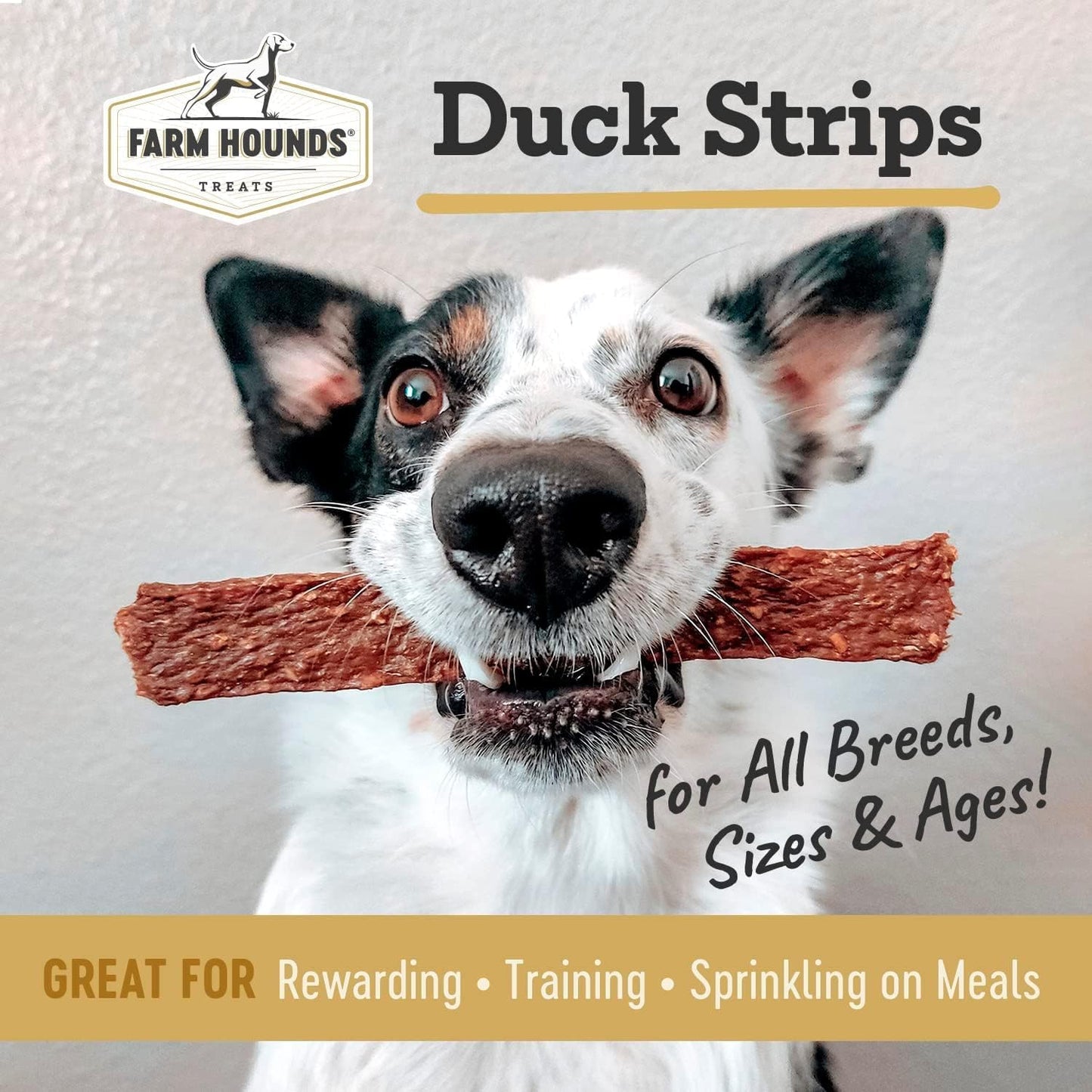 Farm Hounds - Duck Strips - Premium Natural Jerky for Dogs - Made from 100% Humanely Raised Duck - Great for Training & Treats - No Added Fillers - Made in USA - 4.5 oz - 2 Pack