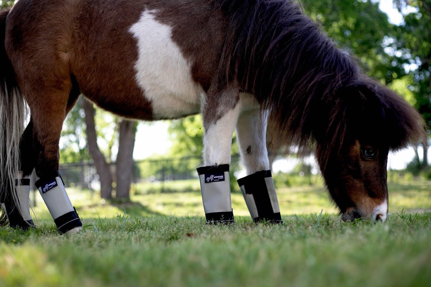 Warrior Fly Boots for Horses - Breathable Mesh Horse Boots for Fly Protection & Leg Comfort - Set of 4 (Lil Warrior, Gray)