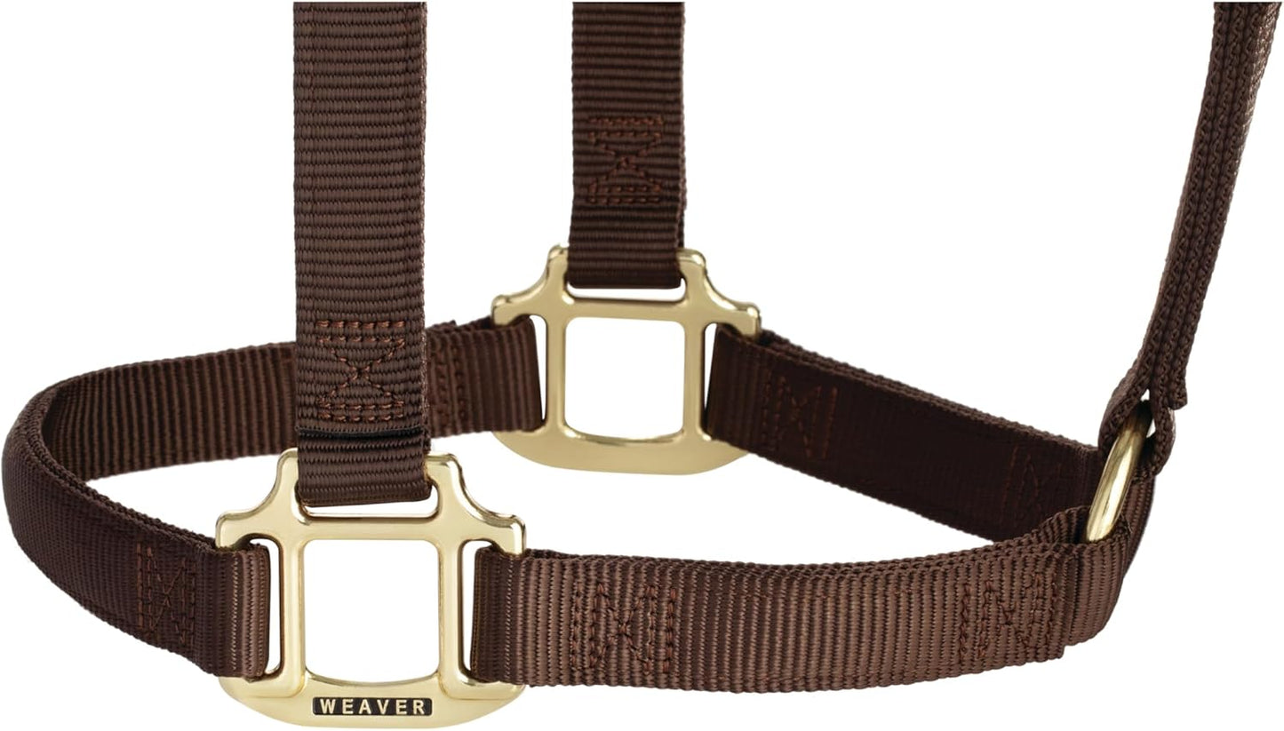 Weaver Equine Nylon Horse Halter, Triple-Ply Cheek Design, Original Non Adjustable Halters for Horses, Equine Tack,Average Size, Black