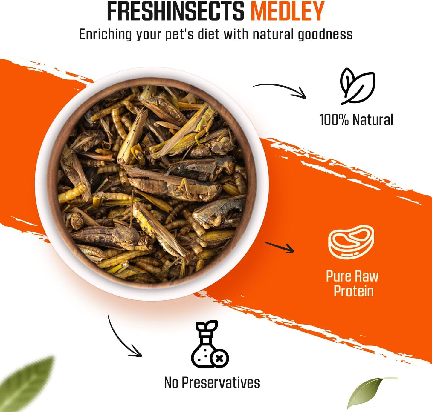 Medley Treat Bearded Dragon Food - Freeze Dried Mealworms, Grasshoppers, Crickets, Quality Tested, Vitamin & Calcium Enriched, Essential Proteins, Fats & Minerals - For Bearded Dragons, Reptiles 2.5oz