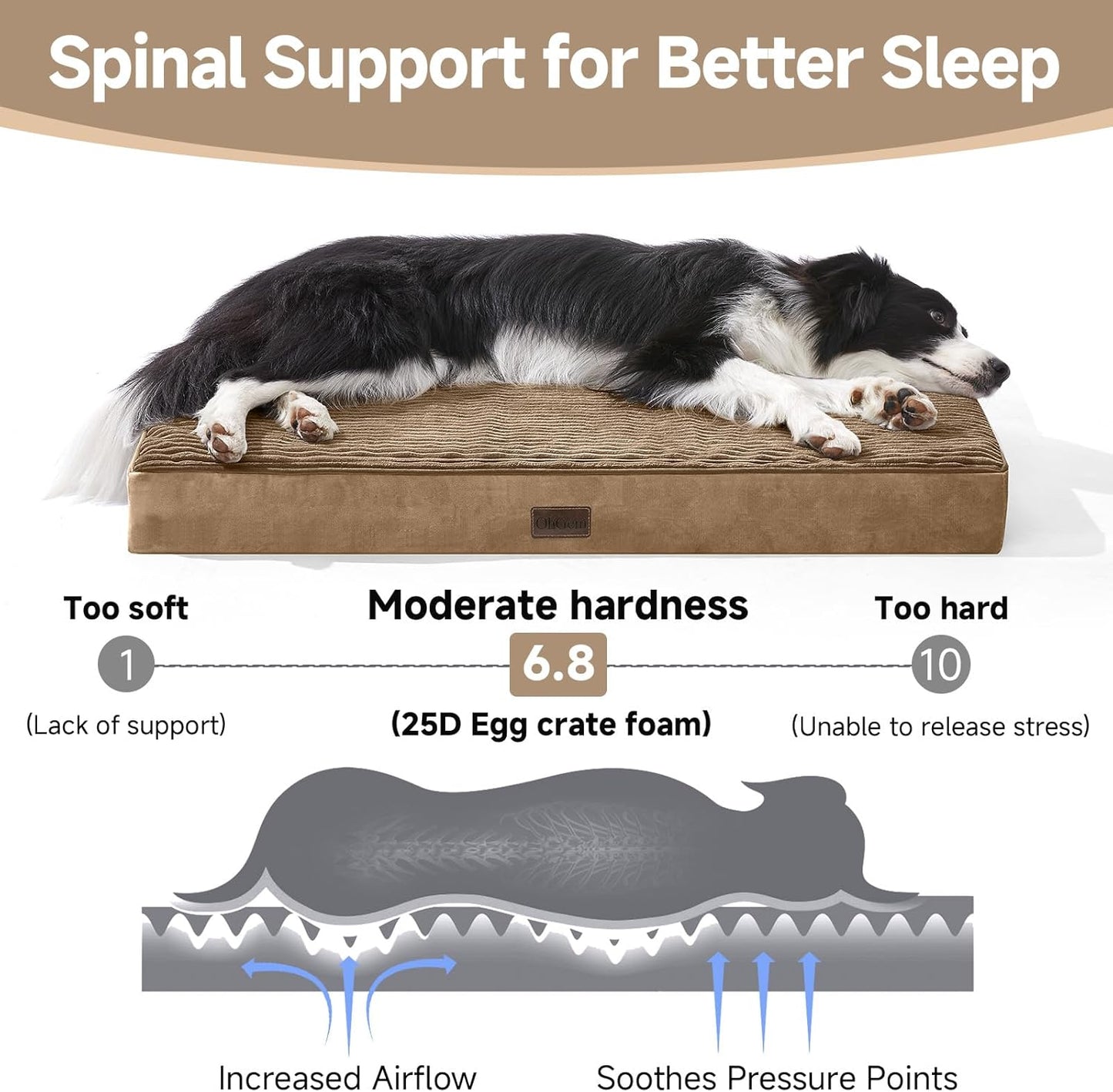 OhGeni Orthopedic Waterproof & Machine Washable Dog Bed for Medium Large Pets, Suitable for Crates, Cat Mat with 25D Egg Crate Foam, Non-Slip Bottom & Removable Cover, 35 Inches(Coffee)