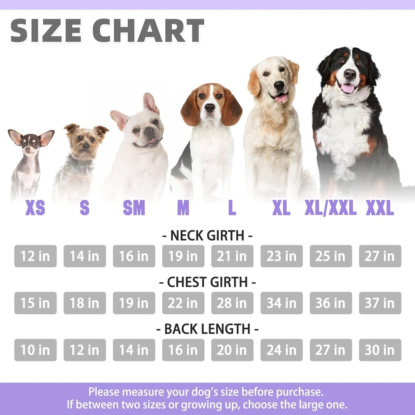 KOOLTAIL Basic Dog Hoodie - Soft & Warm Dog Hoodie Sweater with Leash Hole and Pocket, Pet Winter Coat, Cold Weather Clothes Sweatshirt for Small Medium Large Dogs Puppy Cat Boys Girls Lavender