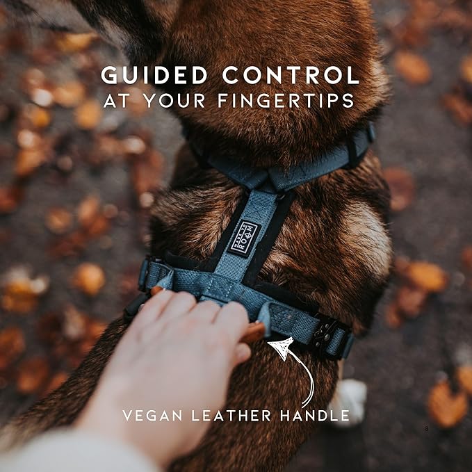 MADE TO ROAM Premium Explorer Harness - Y-Shaped Dog Harness with Adjustable Durable Nylon, Soft Padding, Metal Buckles and Leather Handle for Small, Medium, Large Dogs (Virginia Mountains, Size 2)