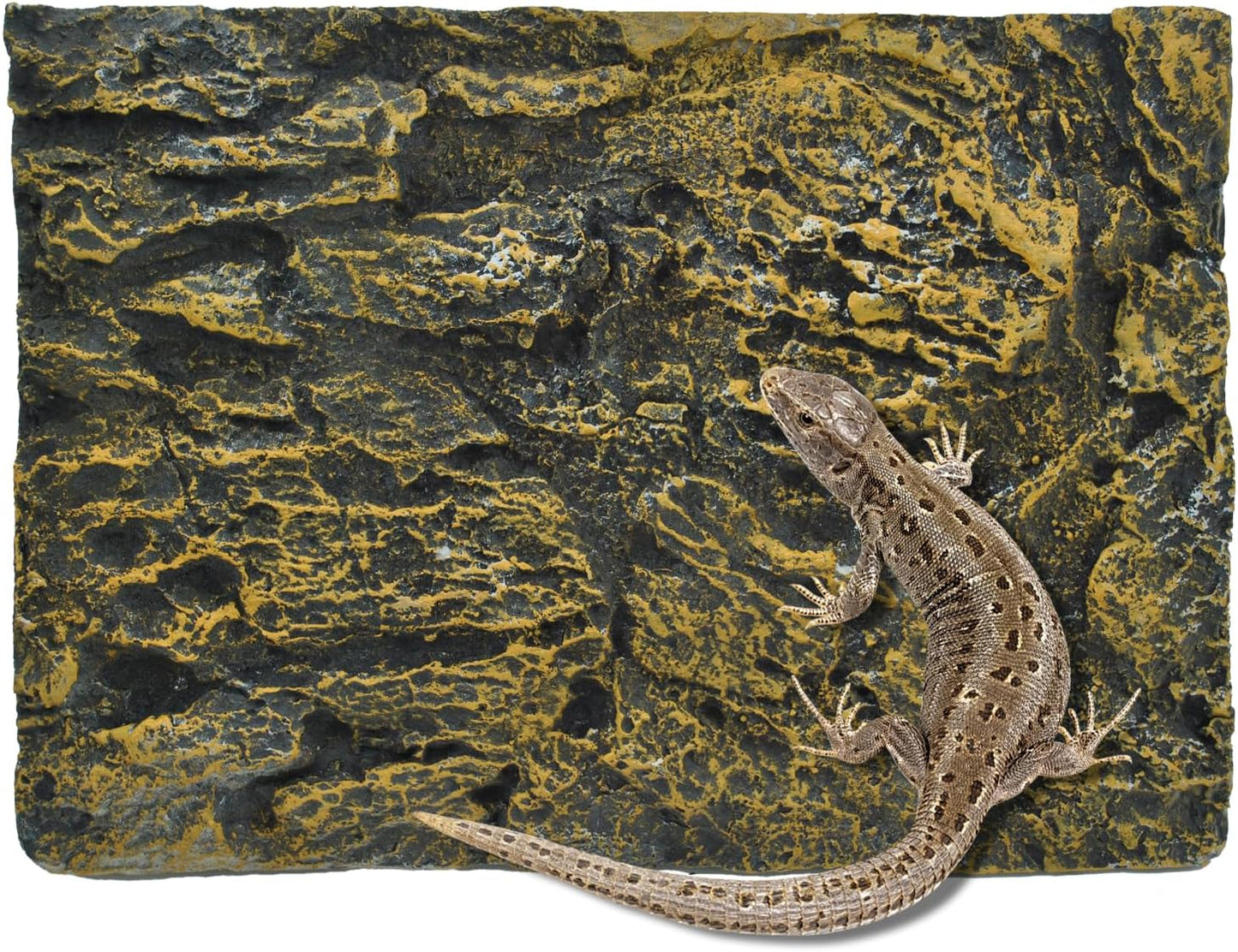 Reptile Tank Background Board Rock Terrarium Cork Background Board 3D Wall Backdrop Aquarium DéCor Backgrounds Amphibian Habitat Decoration for Lizards Leopard Gecko Bearded Dragons Turtle