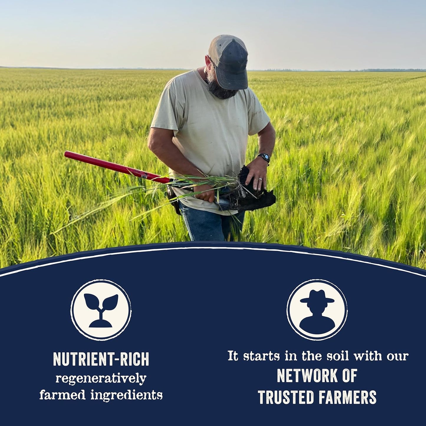 Canidae Pure Farm to Bowl Free-Range Chicken, Sweet Potato & Garbanzo Bean Grain-Free Senior Dog Food, Adult 12lb