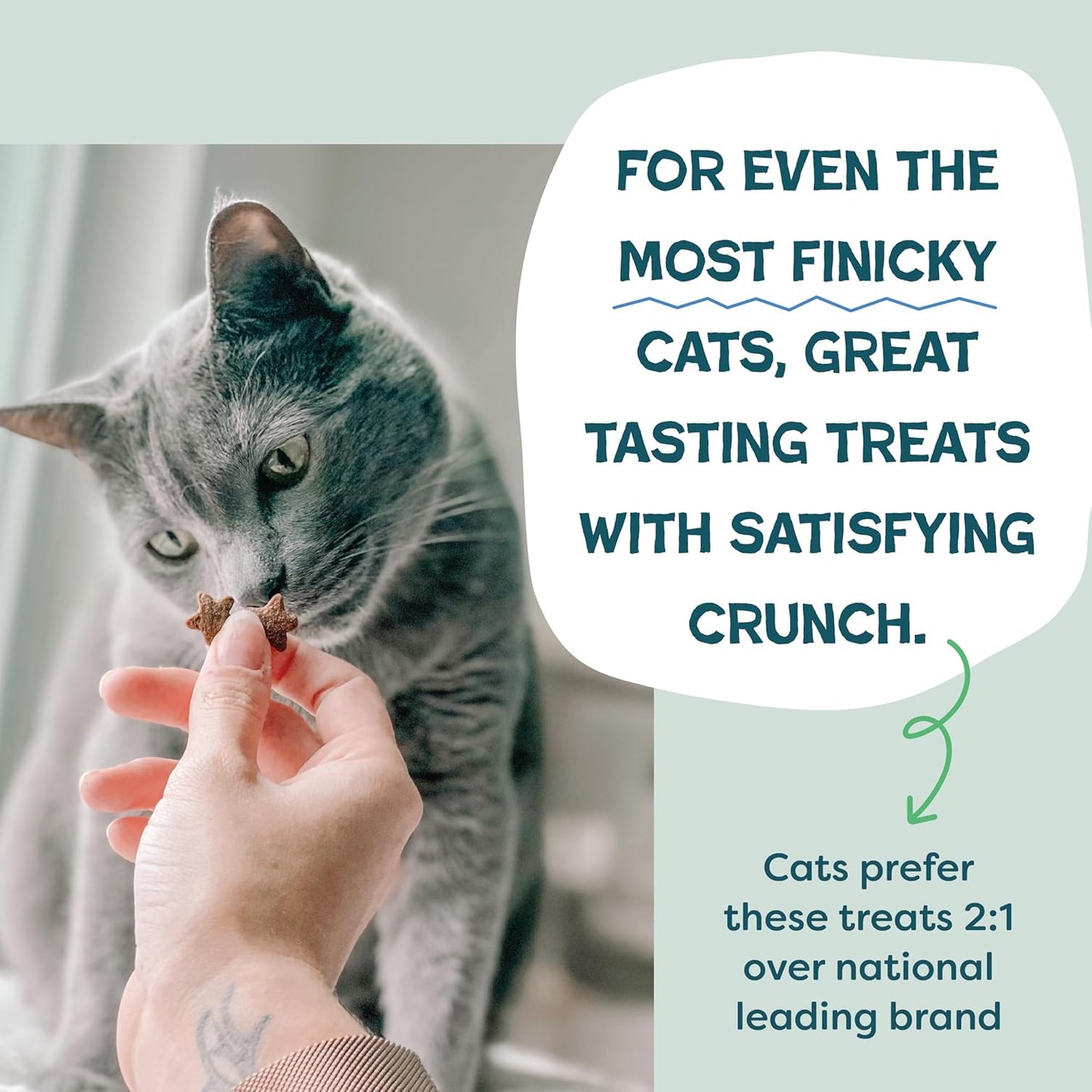 Shameless Pets Crunchy Cat Treats - Catnip Treats for Cats with Digestive Support, Kitten Treats with Real Chicken, Natural & Healthy Flavored Feline Snacks - Catnip N Chill, 1-Pk (12 Oz)